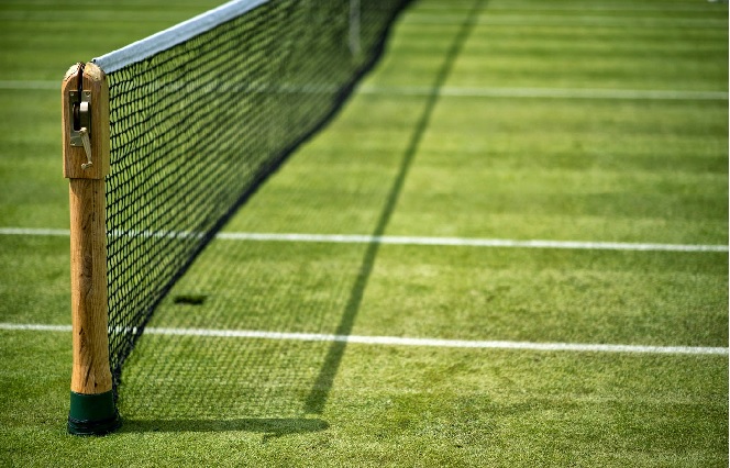 surface gazon court tennis 